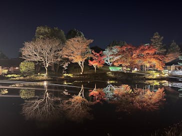 国営昭和記念公園 秋の夜散歩に投稿された画像（2025/11/21）