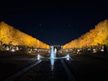 国営昭和記念公園 秋の夜散歩に投稿された画像（2025/11/21）
