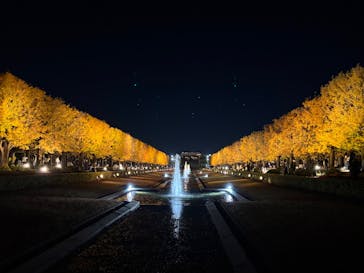 国営昭和記念公園 秋の夜散歩に投稿された画像（2025/11/21）