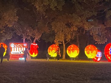 大阪城イルミナージュに投稿された画像（2025/11/21）