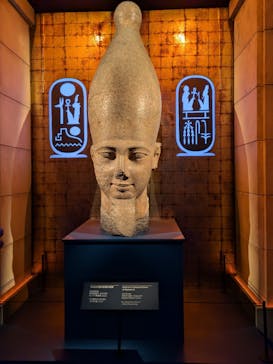 ACN ラムセス大王展 ファラオたちの黄金に投稿された画像（2025/11/21）