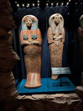 ACN ラムセス大王展 ファラオたちの黄金に投稿された画像（2025/11/21）