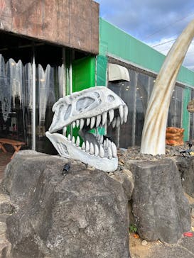 伊豆ぐらんぱる公園に投稿された画像（2025/11/21）