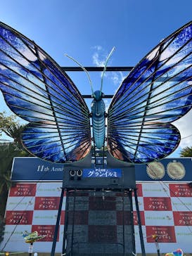 伊豆ぐらんぱる公園に投稿された画像（2025/11/21）