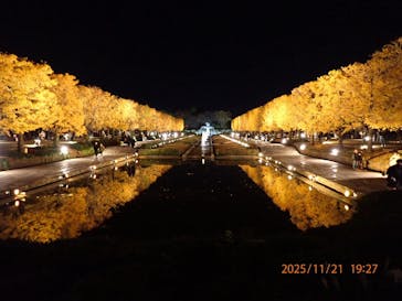 国営昭和記念公園 秋の夜散歩に投稿された画像（2025/11/21）