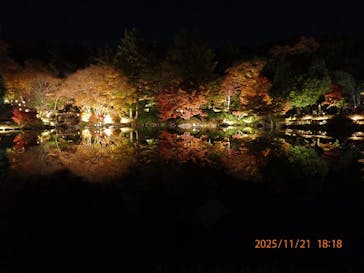 国営昭和記念公園 秋の夜散歩に投稿された画像（2025/11/21）