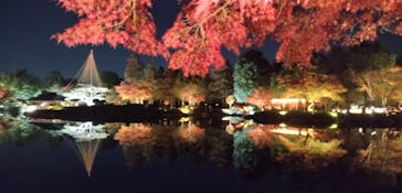 国営昭和記念公園 秋の夜散歩に投稿された画像（2025/11/21）