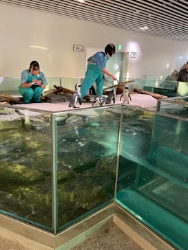 NIFREL（ニフレル）に投稿された画像（2025/11/21）