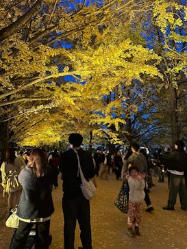 国営昭和記念公園 秋の夜散歩に投稿された画像（2025/11/21）