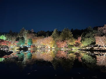 国営昭和記念公園 秋の夜散歩に投稿された画像（2025/11/21）