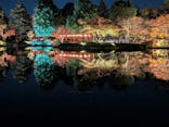 国営昭和記念公園 秋の夜散歩に投稿された画像（2025/11/22）