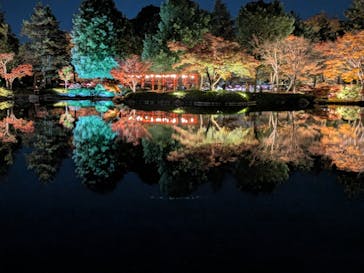 国営昭和記念公園 秋の夜散歩に投稿された画像（2025/11/21）