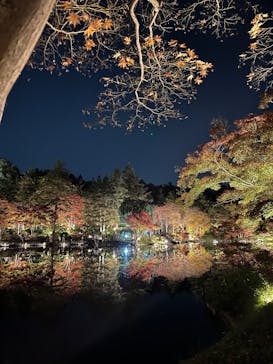 国営昭和記念公園 秋の夜散歩に投稿された画像（2025/11/21）