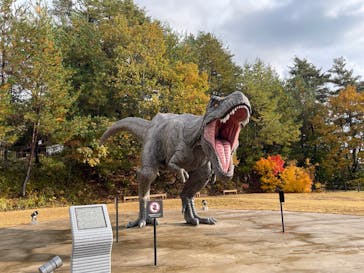 福井県立恐竜博物館に投稿された画像（2025/11/21）