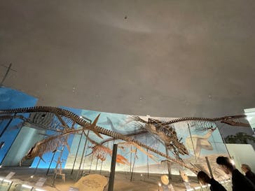 福井県立恐竜博物館に投稿された画像（2025/11/21）