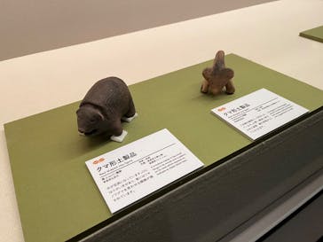 特別展　世界遺産　縄文に投稿された画像（2025/11/21）