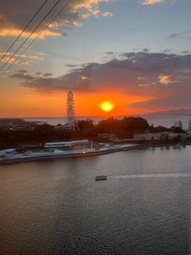 浜名湖パルパルに投稿された画像（2025/11/21）