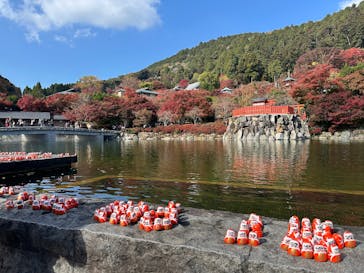 勝尾寺に投稿された画像（2025/11/22）