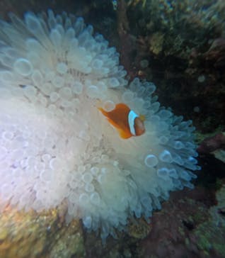 武藤潜水に投稿された画像（2025/11/22）