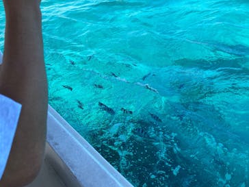 青の洞窟専門店　沖縄ダイビングショップ和に投稿された画像（2025/11/22）