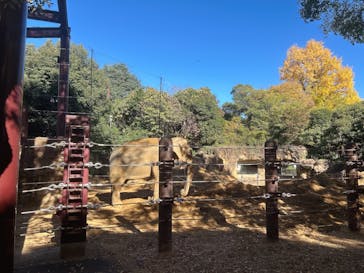 恩賜上野動物園に投稿された画像（2025/11/22）