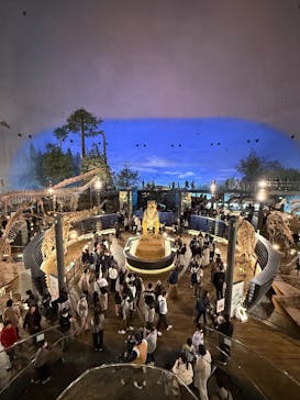 福井県立恐竜博物館に投稿された画像（2025/11/22）