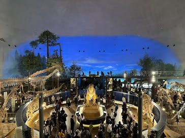 福井県立恐竜博物館に投稿された画像（2025/11/22）