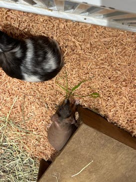 アニタッチららぽーと名古屋みなとアクルスに投稿された画像（2025/11/22）