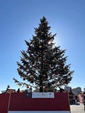 Christmas Market in 横浜赤レンガ倉庫 2025に投稿された画像（2025/11/22）