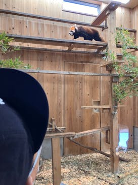 名古屋市東山動植物園に投稿された画像（2025/11/22）