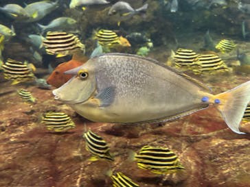 鴨川シーワールドに投稿された画像（2025/11/22）