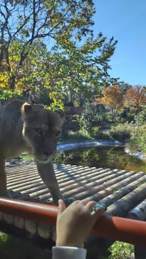 東京動物園協会_多摩動物公園に投稿された画像（2025/11/22）