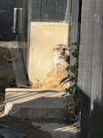 恩賜上野動物園に投稿された画像（2025/11/22）