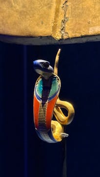 ACN ラムセス大王展 ファラオたちの黄金に投稿された画像（2025/11/22）