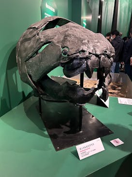 特別展「大絶滅展―生命史のビッグファイブ」に投稿された画像（2025/11/22）