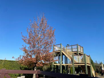 安城産業文化公園デンパークに投稿された画像（2025/11/22）