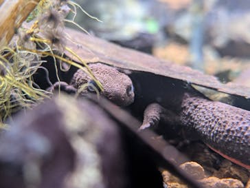 葛西臨海水族園に投稿された画像（2025/11/22）