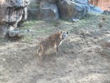 天王寺動物園に投稿された画像（2025/11/22）