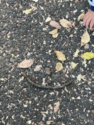 井の頭自然文化園に投稿された画像（2025/11/22）