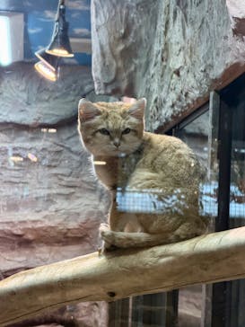 那須どうぶつ王国に投稿された画像（2025/11/22）