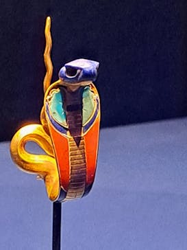 ACN ラムセス大王展 ファラオたちの黄金に投稿された画像（2025/11/22）