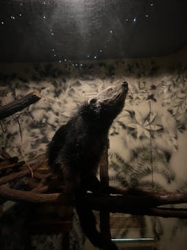 名古屋市東山動植物園に投稿された画像（2025/11/22）