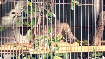 名古屋市東山動植物園に投稿された画像（2025/11/22）