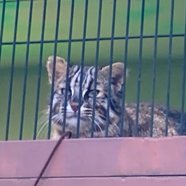 名古屋市東山動植物園に投稿された画像（2025/11/22）