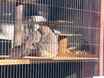 名古屋市東山動植物園に投稿された画像（2025/11/22）