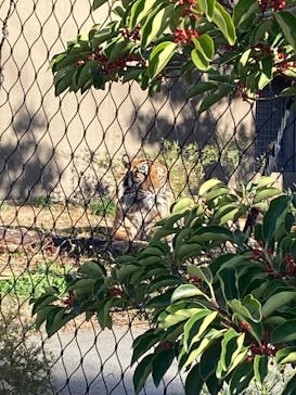 名古屋市東山動植物園に投稿された画像（2025/11/22）