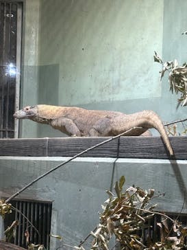 名古屋市東山動植物園に投稿された画像（2025/11/22）