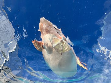 サンシャイン水族館に投稿された画像（2025/11/22）