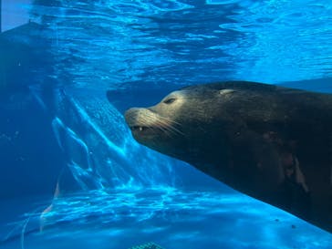サンシャイン水族館に投稿された画像（2025/11/22）