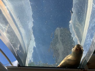 サンシャイン水族館に投稿された画像（2025/11/22）